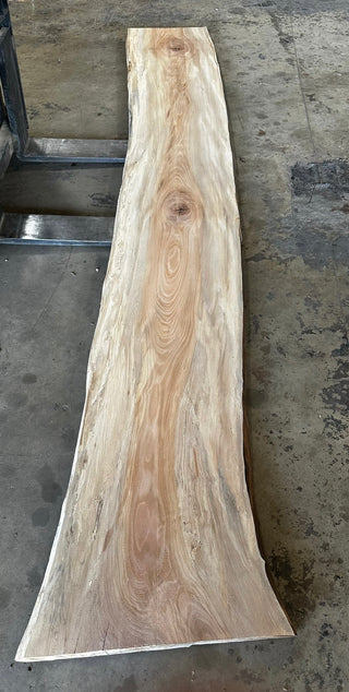 Unfinished Live Edge Sycamore Slab (ULES-2322)