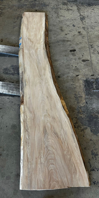 Unfinished Live Edge Sycamore Slab (ULES-2329)