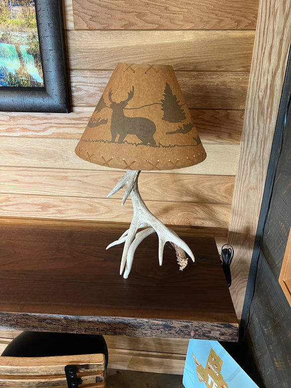 Whitetail Antler Table Lamp