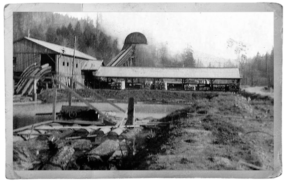 Vintage black and white photograph of a sawmill in northern California in the redwood forest where Cecil phillips worked before moving to Texas.