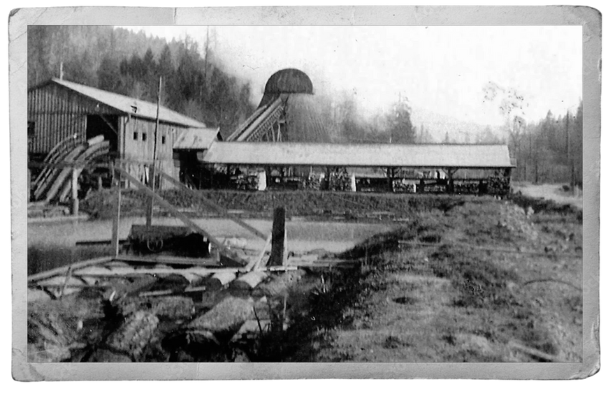 Vintage black and white photograph of a sawmill in northern California in the redwood forest where Cecil phillips worked before moving to Texas.