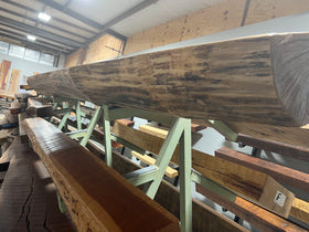 A live edge style fireplace mantel, made from birch wood, displayed on a rack.