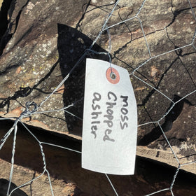 Moss Chopped Ashler Building Stone - 0