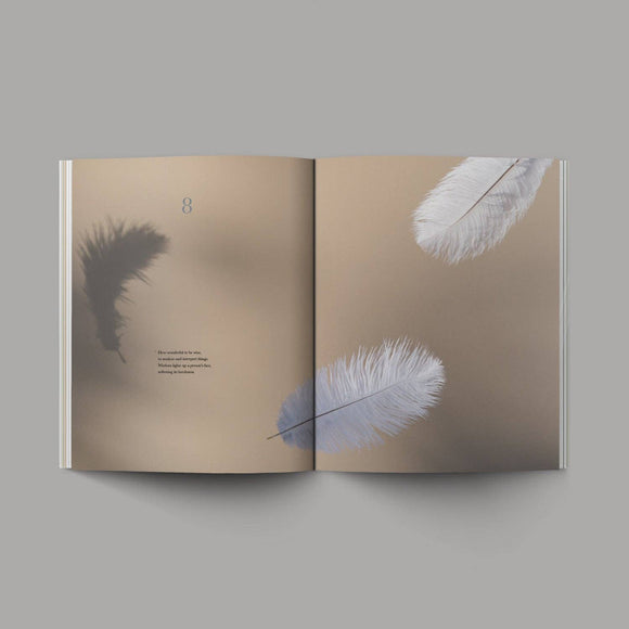 The Book of Ecclesiastes: $39 - Softcover