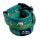 Sun Dog - Camping Collar: Medium-2