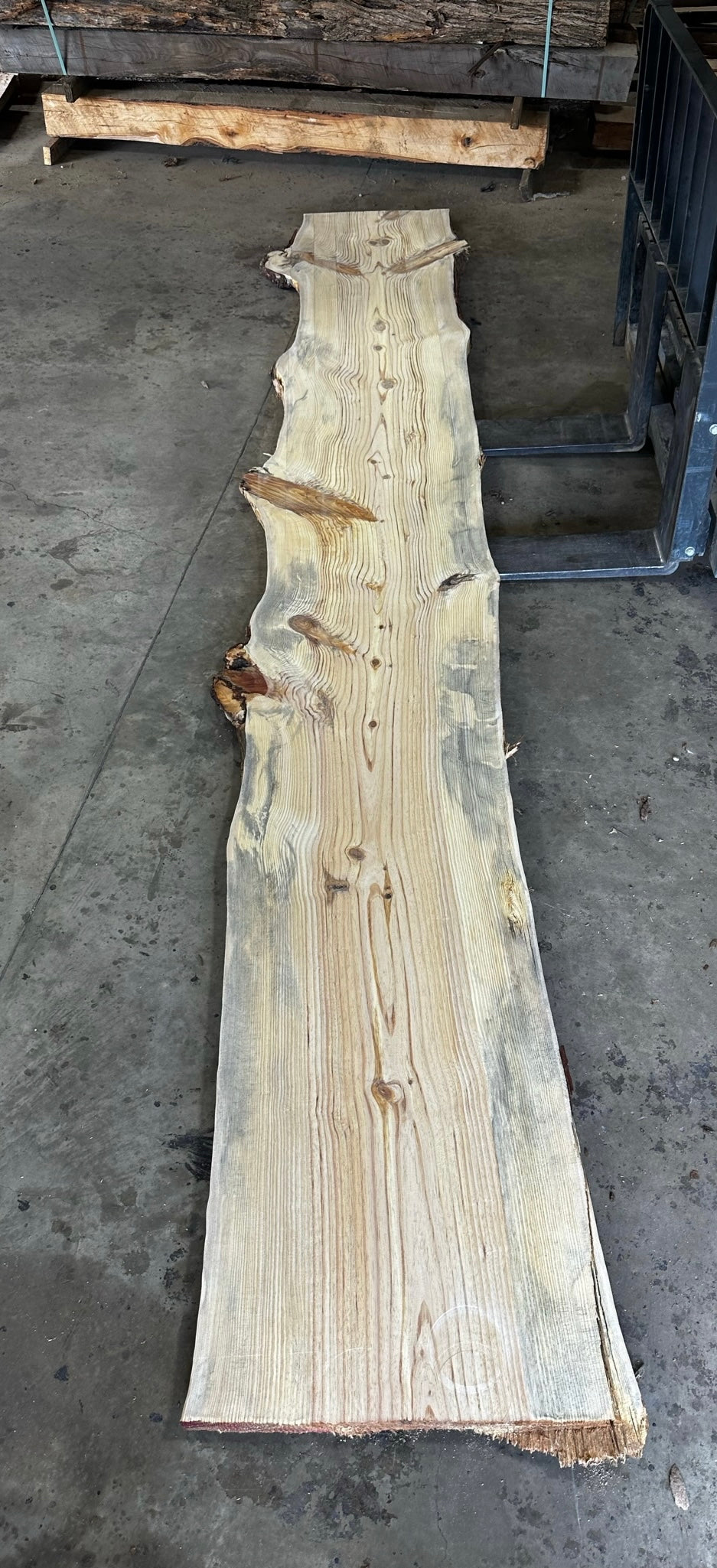 Unfinished Live Edge Pine Slab (ULES2890) The Forest Store