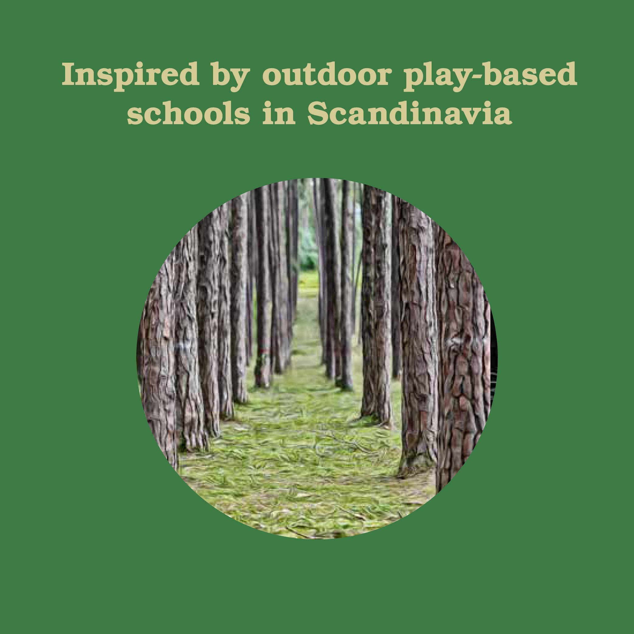 Chronicle Books - Forest School for Grown-Ups