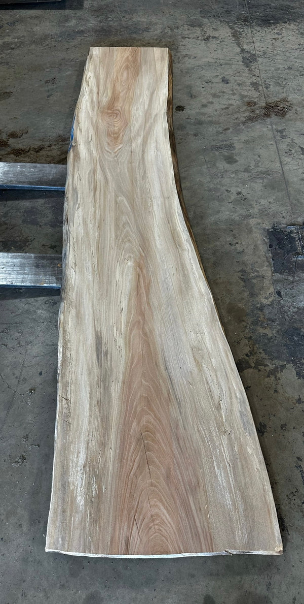 Unfinished Live Edge Sycamore Slab (ULES-2330)