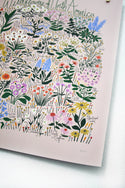 Leah Duncan - Wildflowers of North America Blush Poster