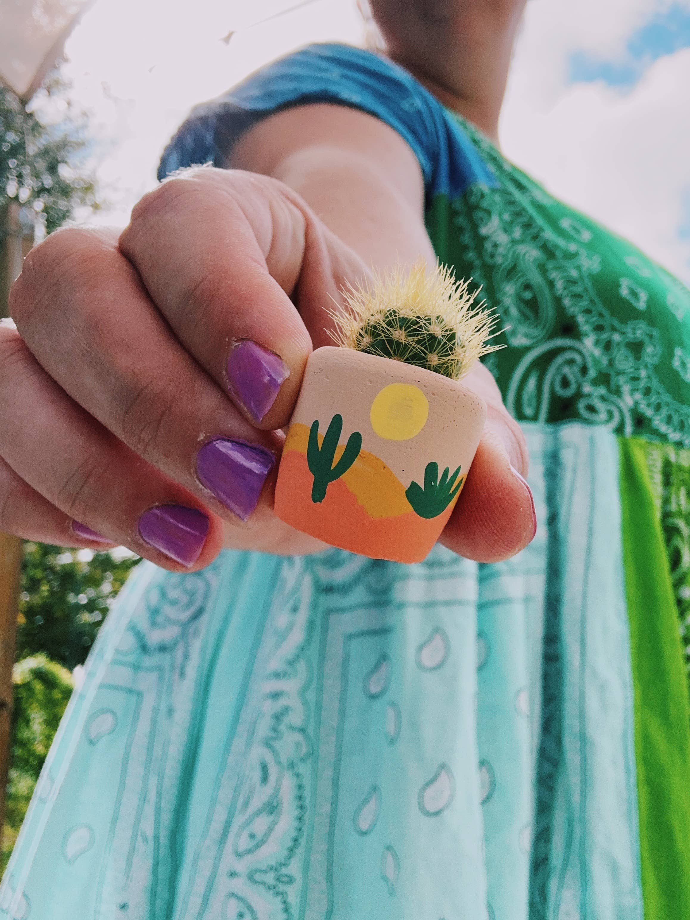 O'Berry's Succulents Desert Pot - Thumbnail 4