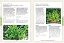 Microcosm Publishing & Distribution - Ferns: Indoors - Outdoors - Growing - Crafting-3