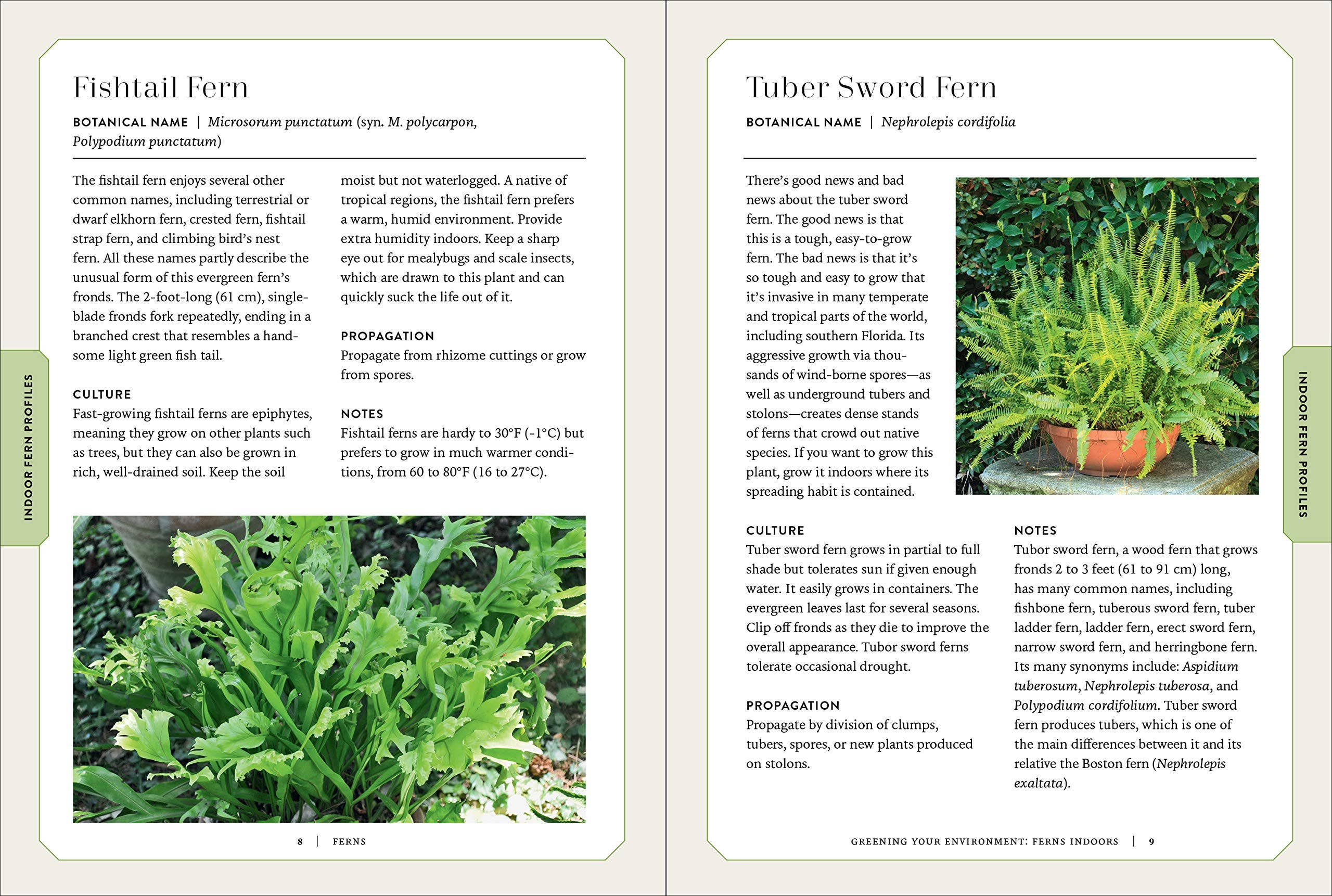 Microcosm Publishing & Distribution - Ferns: Indoors - Outdoors - Growing - Crafting