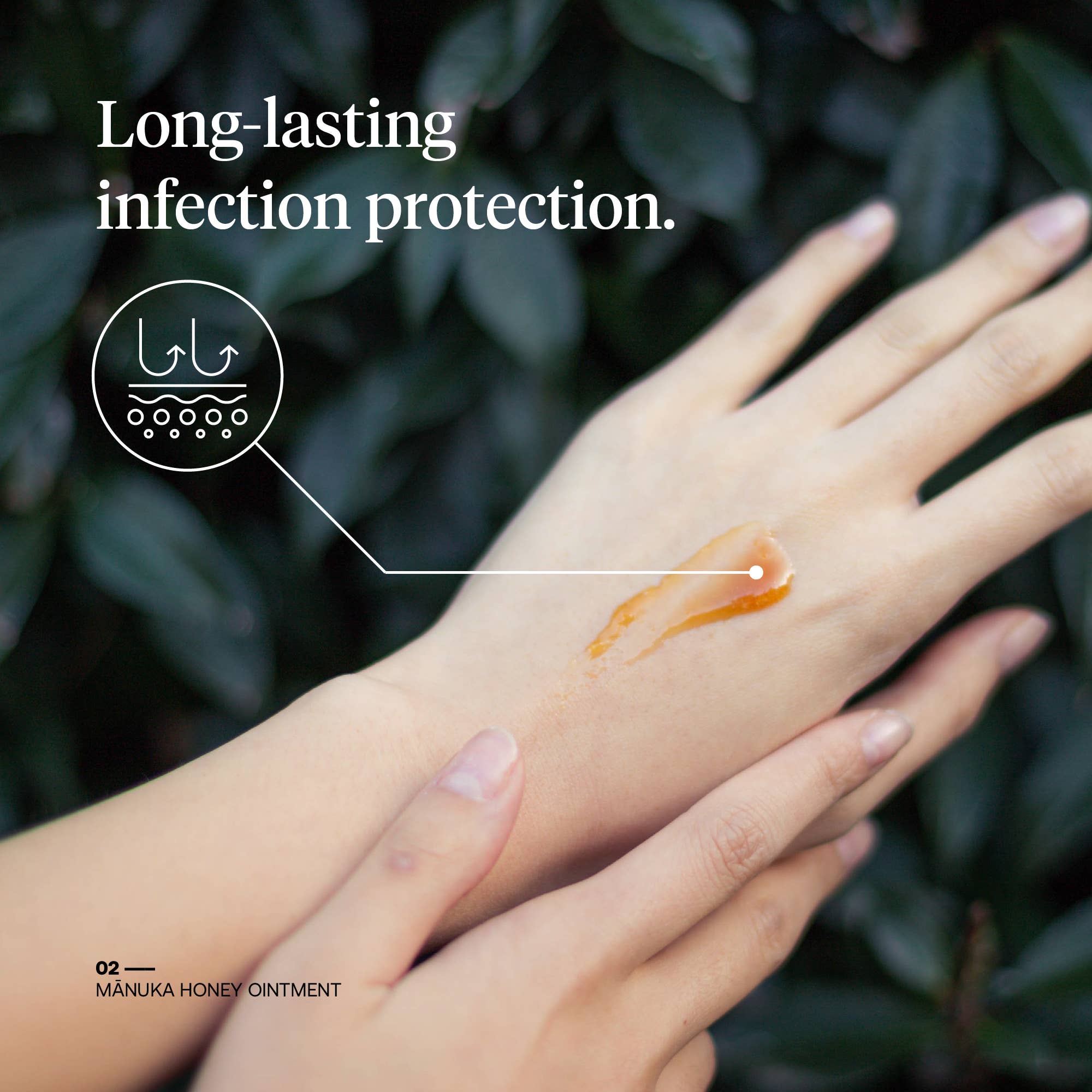 First Honey - First Honey® Manuka Wound Ointment: 1 oz