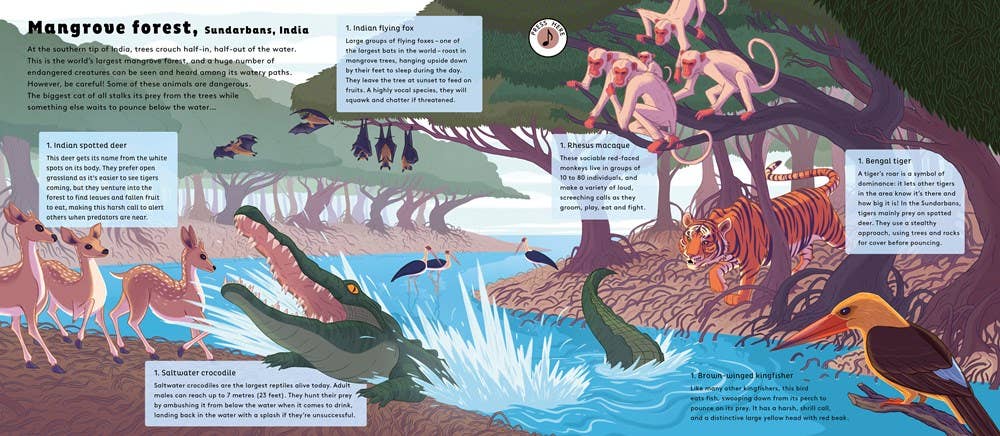 Microcosm Publishing & Distribution - World of Forests: Sounds of Nature - 0