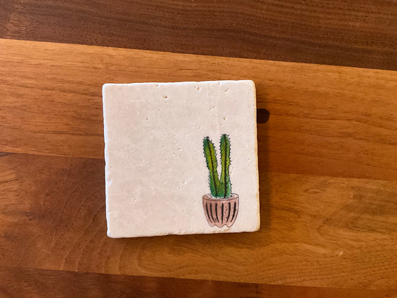 Lace, Grace & Peonies - Potted Cactus
