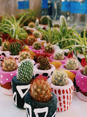 O'Berry's Succulents - The Minimal Mini Planter - 0