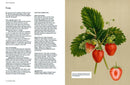 Microcosm Publishing & Distribution - Botanical Bible-4
