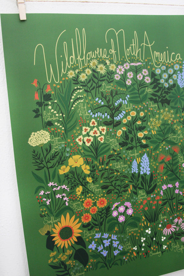 Leah Duncan - Wildflowers of North America Green Poster