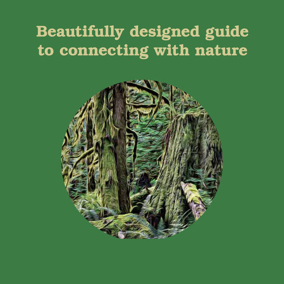 Chronicle Books - Forest School for Grown-Ups