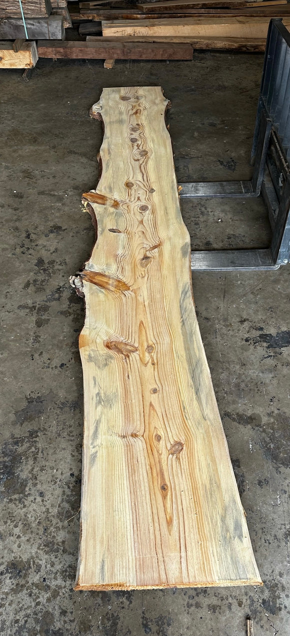 Unfinished Live Edge Pine Slab (ULES-2889)