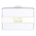 Slant Collections by Creative Brands - Cactus Glass Set