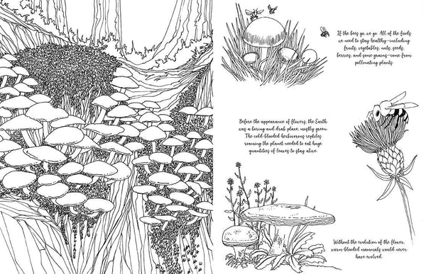 Insight Editions - Fantastic Fungi: The Coloring Book