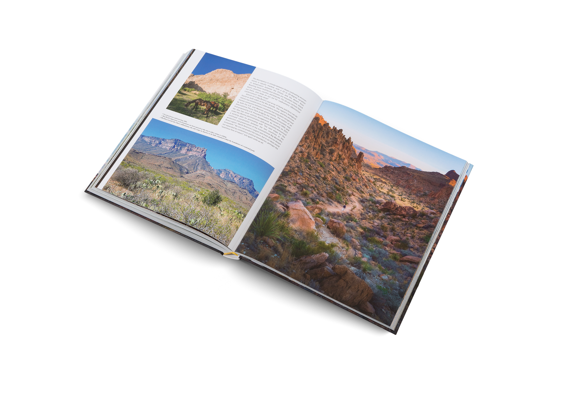 gestalten - Wanderlust USA