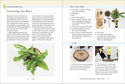 Microcosm Publishing & Distribution - Ferns: Indoors - Outdoors - Growing - Crafting