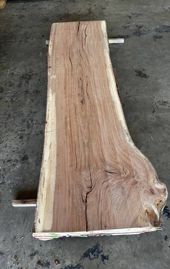 Unfinished Live Edge Pecan Slab (ULES-2338)