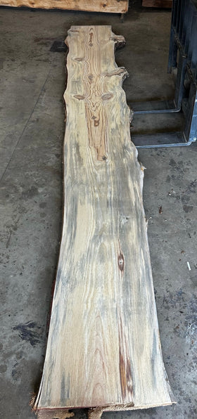 Unfinished Live Edge Pine Slab (ULES-2891)