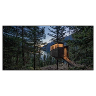 ACC Art Books Ltd - Modern Cabins