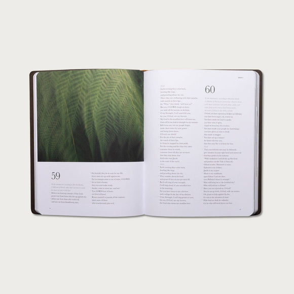 Alabaster Co - The Book of Psalms: $70 - Hardcover / New Living Translation (NLT)