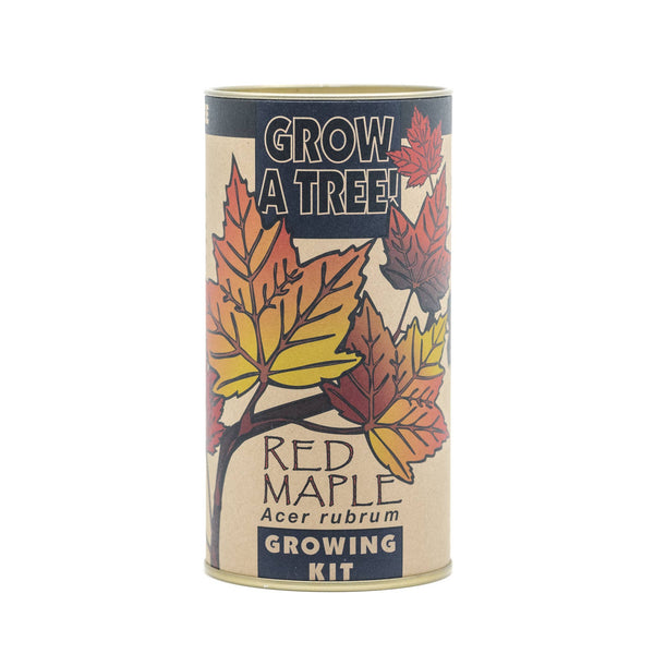 The Jonsteen Company - Red Maple | Seed Grow Kit