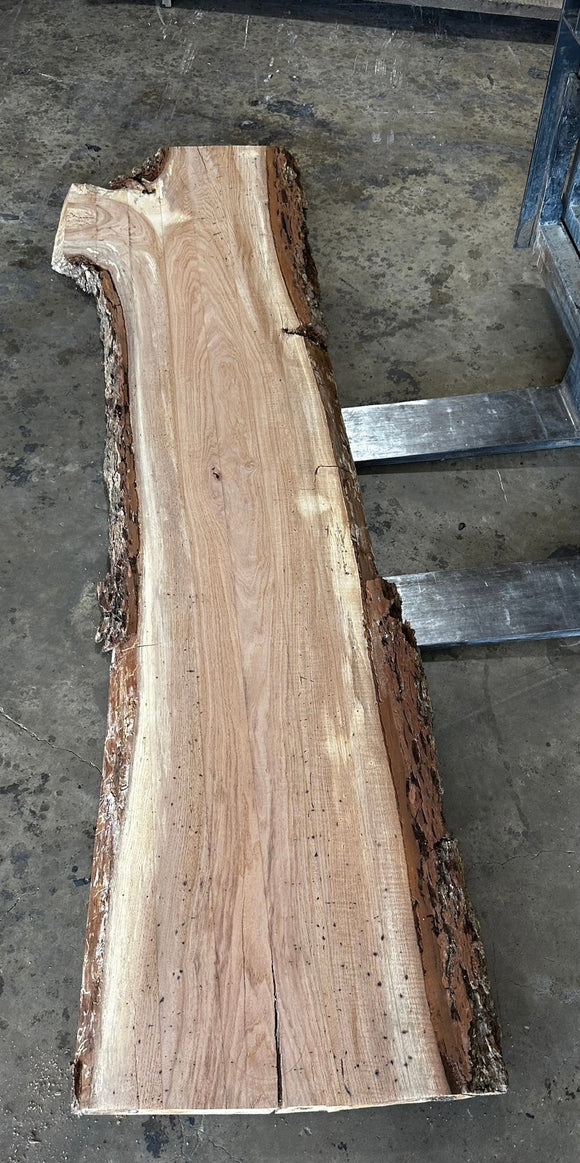 Unfinished Live Edge Pecan Slab (ULES-2336)