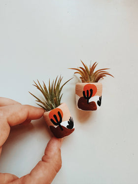 O'Berry's Succulents - Joshua Tree Mini Planter
