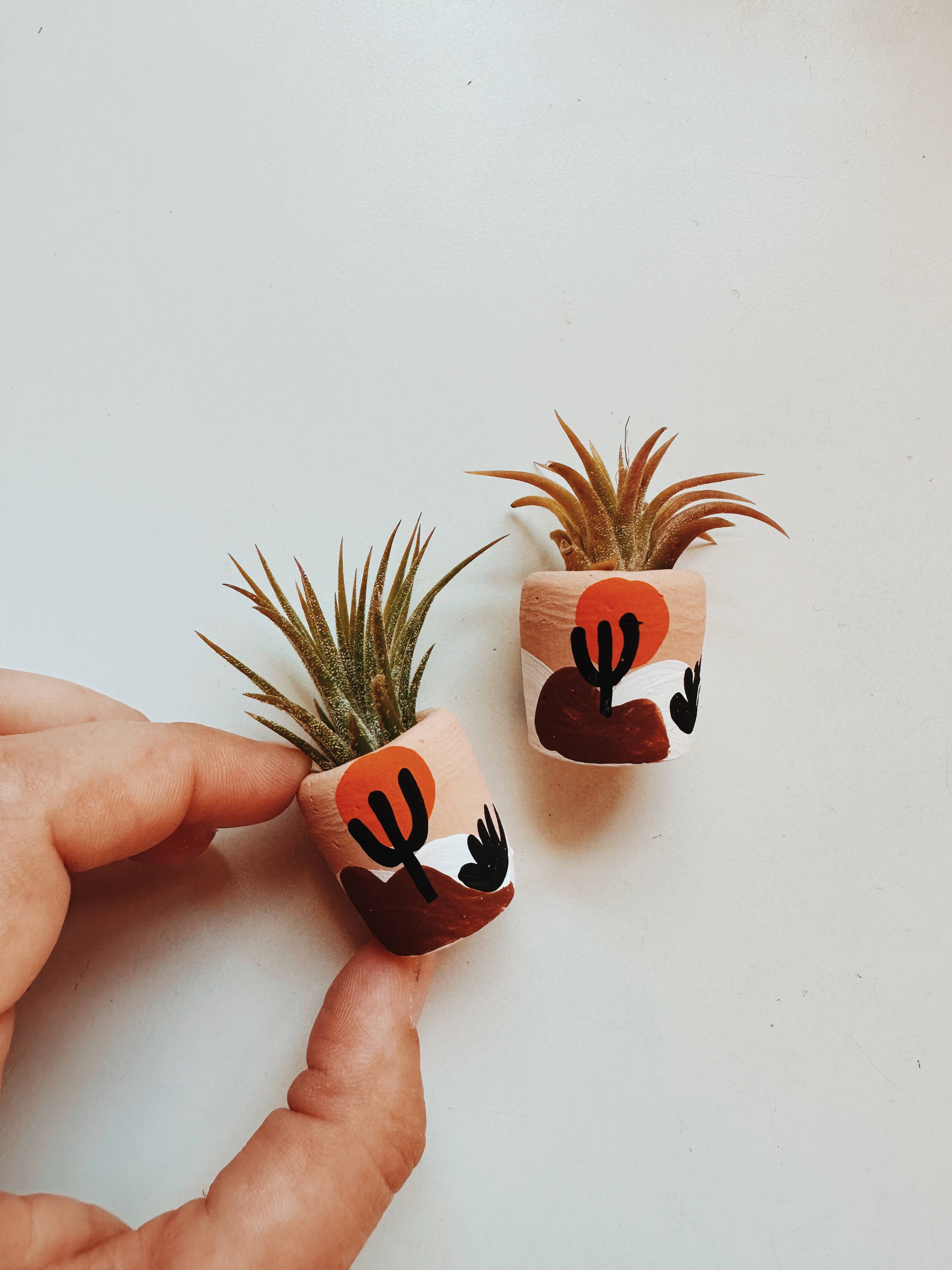 O'Berry's Succulents - Joshua Tree Mini Planter