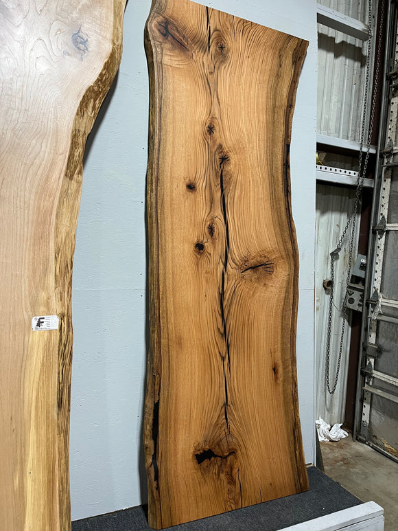 Live Edge Red Oak Slab