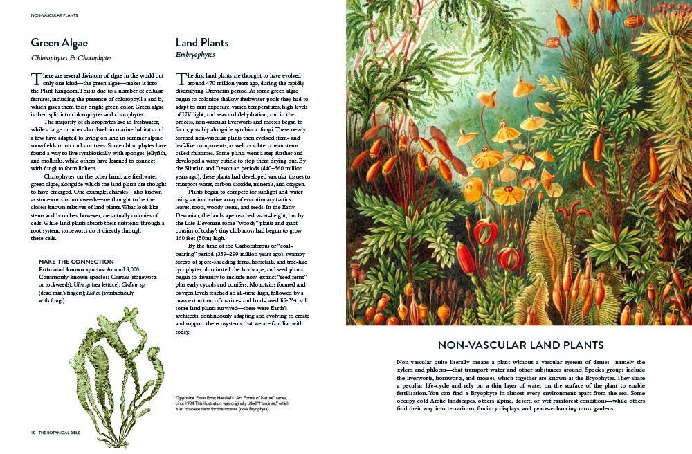 Microcosm Publishing & Distribution - Botanical Bible - 0