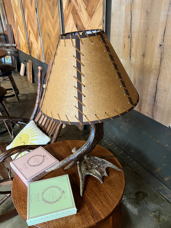 Moose Antler Table Lamp