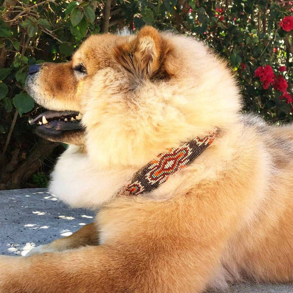 Sambboho - Boho Chic Sambboho Dog Collar: 10-12"