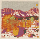 Caroline Clark - Morning Desert Postcard Set-4