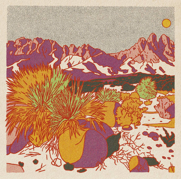 Caroline Clark - Morning Desert Postcard Set