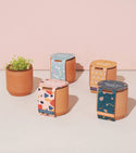 Modern Sprout - Tiny Terracotta Grow Kits