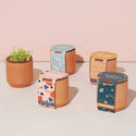 Terracotta Kit & Tiny Terracotta Kit