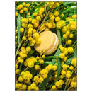 ACC Art Books Ltd - Laduree Macarons-3