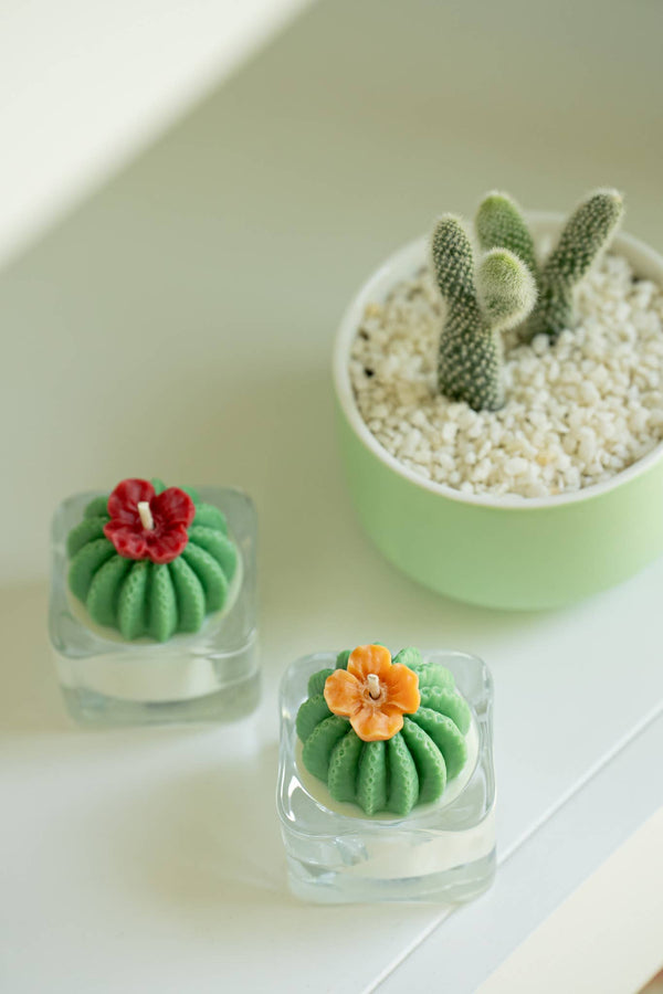 ZOETSTUDIO - Barrel Cactus Tealight Candles: Mint w/ orange