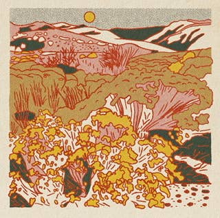 Caroline Clark - Morning Desert Postcard Set