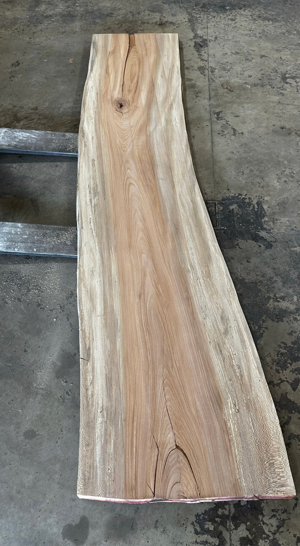 Unfinished Live Edge Sycamore Slab (ULES-2331)