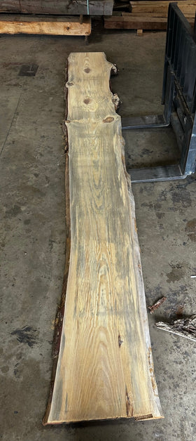 Unfinished Live Edge Pine Slab (ULES-2892)