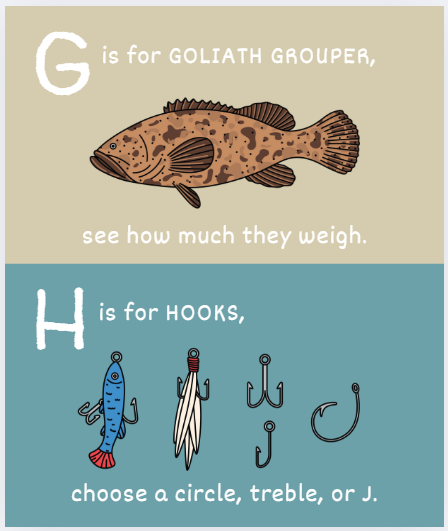 Wild Adventure Books - ABC's of Fishing